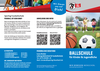 sportvg_flyerballschule_web.pdf