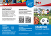 sportvg_flyerballschule_web.pdf